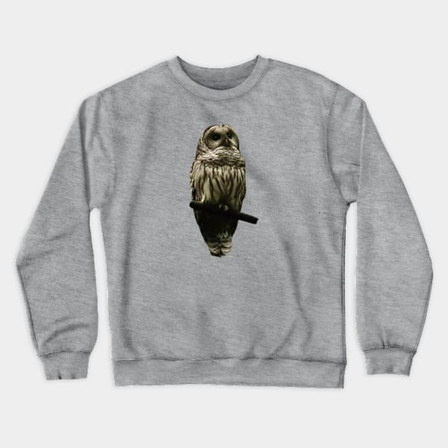 Owl Crewneck Sweatshirt by Oregon Art Shop